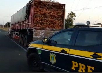 PRF apreende grande quantidade de madeira sem licença ambiental no Piauí